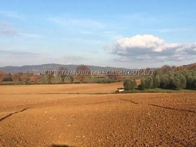 Terreno Agricolo in vendita a Campagnatico