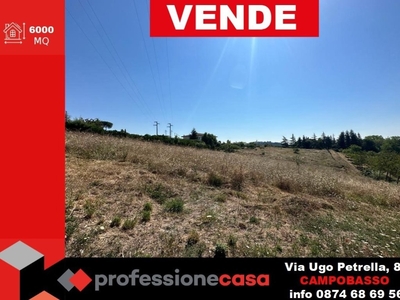 Terreno Agricolo in vendita a Campobasso campobasso Cese
