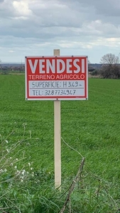 Terreno Agricolo in vendita a Campomarino ss16ter