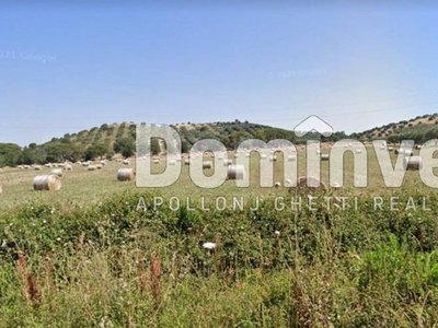 Terreno Agricolo in vendita a Capalbio strada Pedemontana