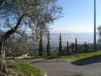 Terreno Agricolo in vendita a Capannori