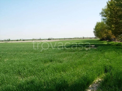 Terreno Agricolo in vendita a Capannori