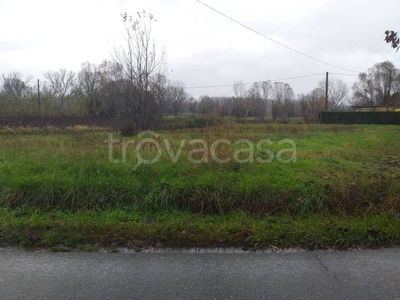 Terreno Agricolo in vendita a Capannori via della Circonvallazione