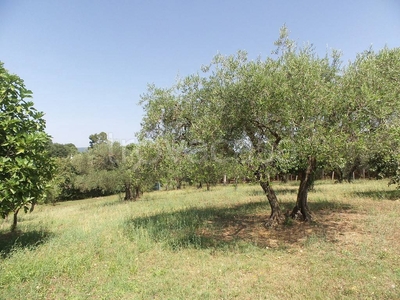 Terreno Agricolo in vendita a Caprarola località Barco
