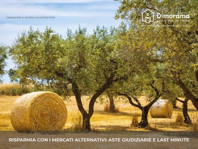 Terreno Agricolo in vendita a Capurso contrada Pacifico