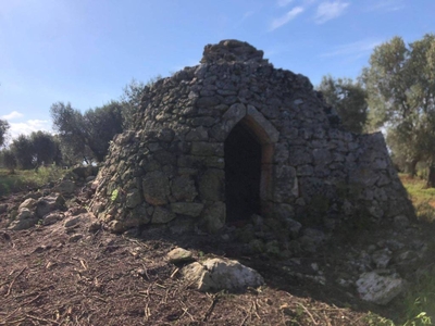 Terreno Agricolo in vendita a Carovigno sp32