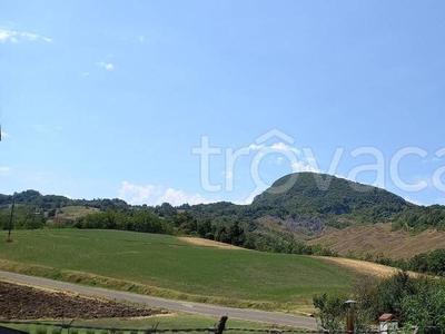 Terreno Agricolo in vendita a Carpineti villa, 15