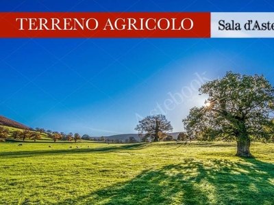 Terreno Agricolo in vendita a Casatenovo via Borromeo, 9