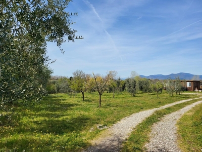 Terreno Agricolo in vendita a Casciana Terme Lari hhvh+rr Casciana Terme Lari pi