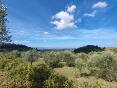 Terreno Agricolo in vendita a Casciana Terme Lari lari