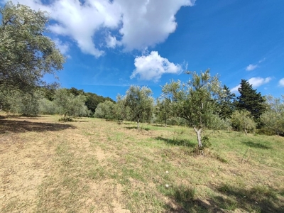 Terreno Agricolo in vendita a Casciana Terme Lari lari