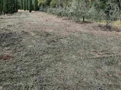 Terreno Agricolo in vendita a Casciana Terme Lari san Ruffino