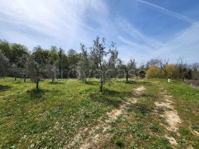 Terreno Agricolo in vendita a Casciana Terme Lari via dei Princi