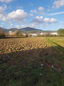 Terreno Agricolo in vendita a Cascina