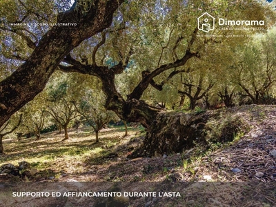 Terreno Agricolo in vendita a Cassano delle Murge contrada Ammazza-cavallo