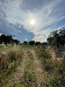 Terreno Agricolo in vendita a Cassano delle Murge strada Comunale piscinarola