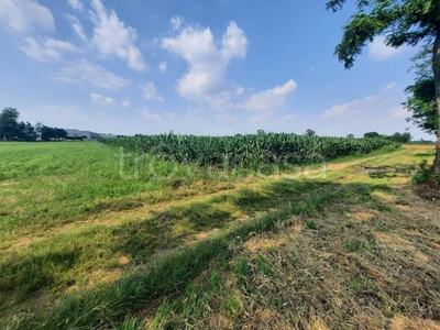 Terreno Agricolo in vendita a Castano Primo via del Lavoro