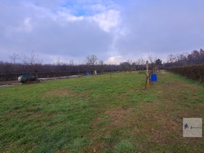 Terreno Agricolo in vendita a Castano Primo via Lonate