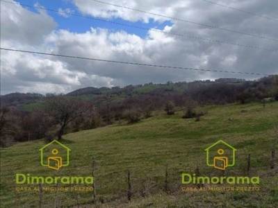 Terreno Agricolo in vendita a Casteldelci località Fragheto, Pianfera, Raggio della Cenere