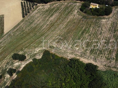 Terreno Agricolo in vendita a Castelfidardo contrada Monte Camillone, 1