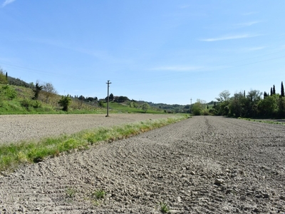 Terreno Agricolo in vendita a Castelfiorentino