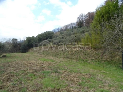 Terreno Agricolo in vendita a Castelfranco di Sotto