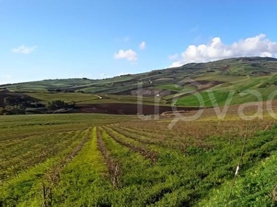 Terreno Agricolo in vendita a Castellammare del Golfo c.Da Inici Lisciandrini