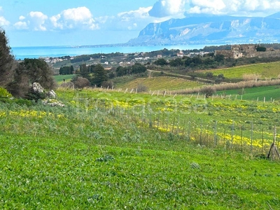Terreno Agricolo in vendita a Castellammare del Golfo contrada gagliardetta-piano Principe