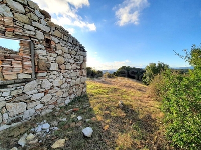 Terreno Agricolo in vendita a Castellina Marittima via dei Giardini