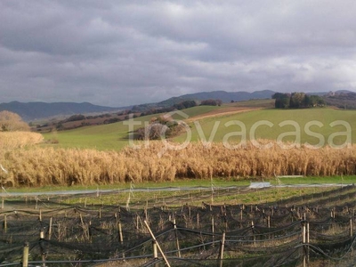 Terreno Agricolo in vendita a Castellina Marittima via del Commercio