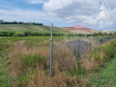 Terreno Agricolo in vendita a Castellina Marittima via Matassina