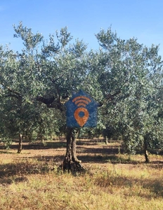 Terreno Agricolo in vendita a Castelvetrano sp81