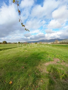 Terreno Agricolo in vendita a Castiglion Fiorentino strada Comunale della Patalecchia di Pozzo Nuovo