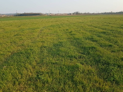 Terreno Agricolo in vendita a Castiglione delle Stiviere via Montefora Tedeschino