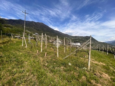 Terreno Agricolo in vendita a Castione Andevenno via Canovi