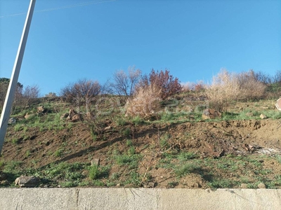 Terreno Agricolo in vendita a Cefalù contrada Campella