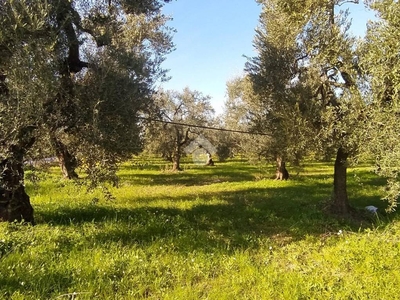 Terreno Agricolo in vendita a Cerignola via Tiro segno
