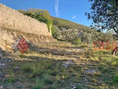 Terreno Agricolo in vendita a Cervaro via Marchesi, snc