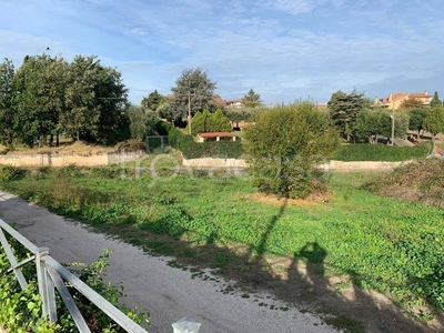 Terreno Agricolo in vendita a Ciampino via Doganale, 14