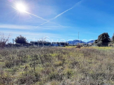 Terreno Agricolo in vendita a Cingoli via s. Sergio