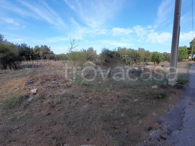 Terreno Agricolo in vendita a Cinisi via dei Gigli Traversa 6, 9