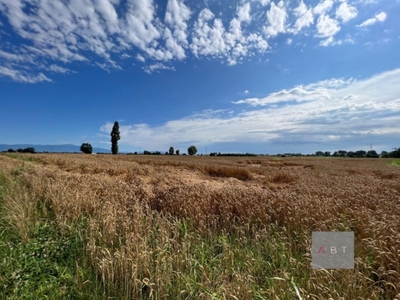 Terreno Agricolo in vendita a Cittadella