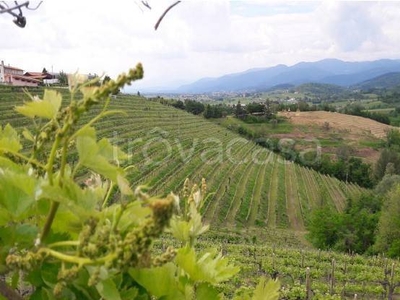 Terreno Agricolo in vendita a Cividale del Friuli strada s. Anna, Cividale del Friuli, 44