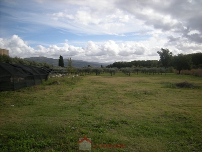 Terreno Agricolo in vendita a Civitella in Val di Chiana