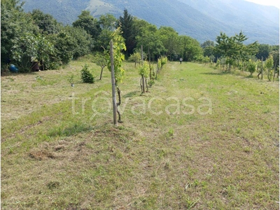 Terreno Agricolo in vendita a Cogollo del Cengio via Sant'Agata