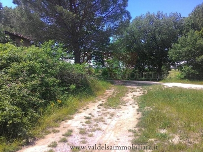 Terreno Agricolo in vendita a Colle di Val d'Elsa