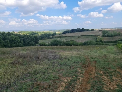 Terreno Agricolo in vendita a Colle di Val d'Elsa 53034 Gracciano si, 53034