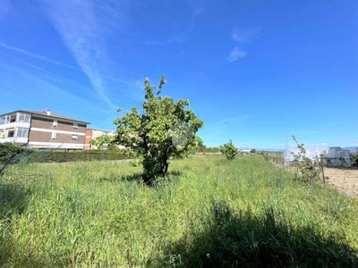 Terreno Agricolo in vendita a Collesalvetti via della Colmata