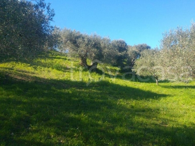 Terreno Agricolo in vendita a Collesano sp9bis