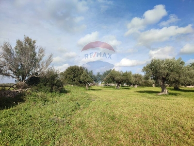 Terreno Agricolo in vendita a Comiso